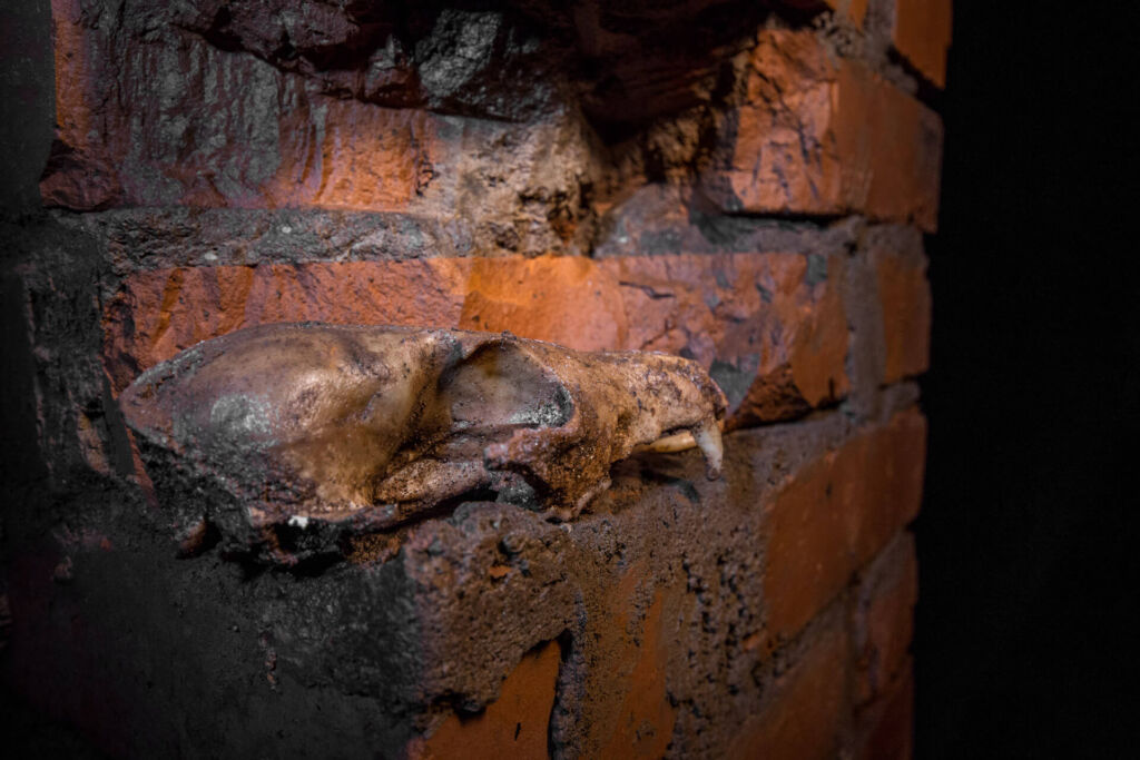 Luftschutzstollen Fuchsbau im Kräherwald Stuttgart