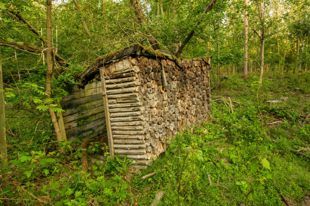 Der Bunker unterm Holzstapel versteckt sich tief im Brandenburger Wald