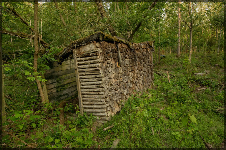 Der Bunker unterm Holzstapel versteckt sich tief im Brandenburger Wald