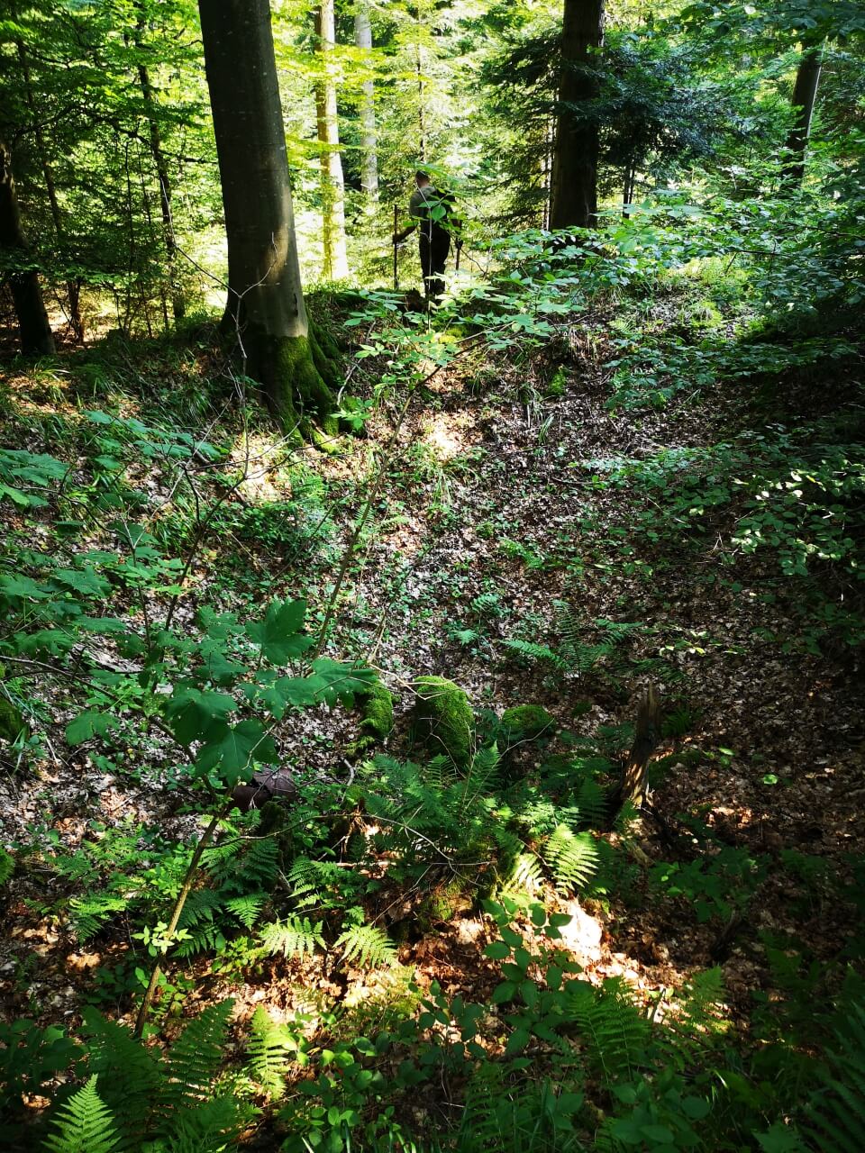 Bergbauspuren mitten im Wald