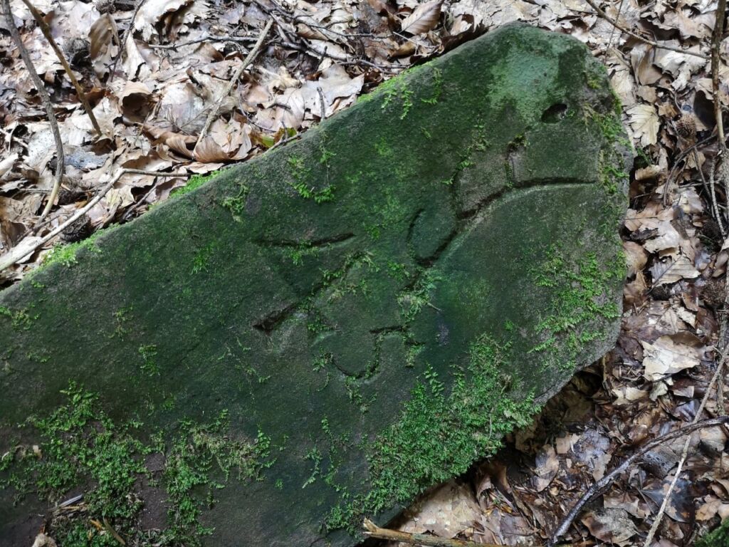 Grenzstein mit eingraviertem Geweih und der Nummer 45