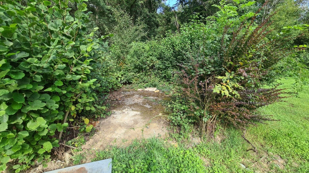 Zeigt die runde Betonabdeckung des ehemaligen Schachts, umrandet von dichten Büschen.