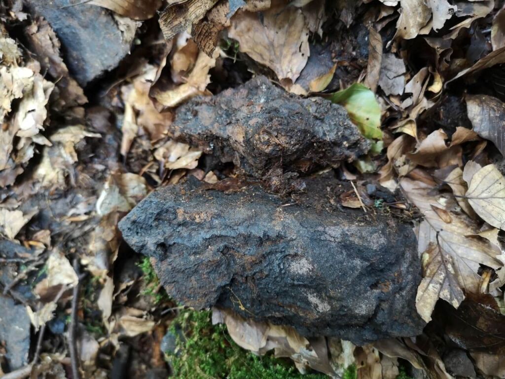 eisenhaltiges Gestein