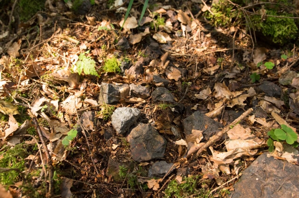 stark eisenhaltiges Gestein von der Halde