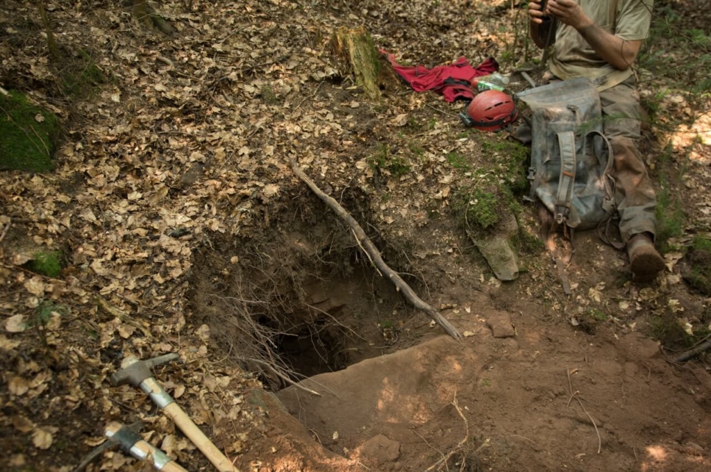 freigelegtes Mundlochmitten im Wald