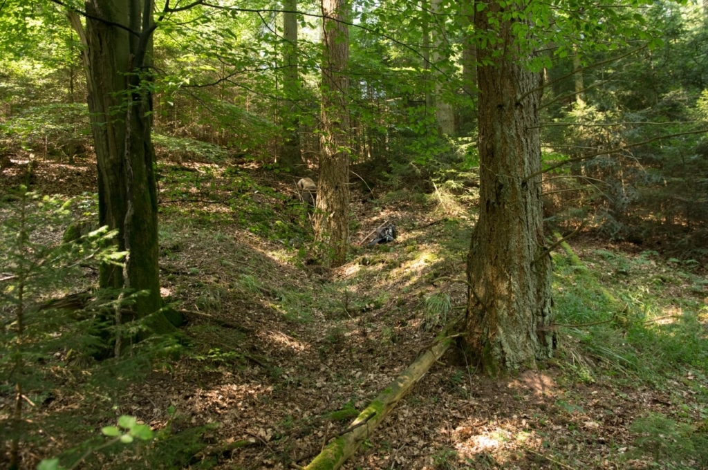 Hohlweg von der Halde in Richtung ehemaliges Mundloch