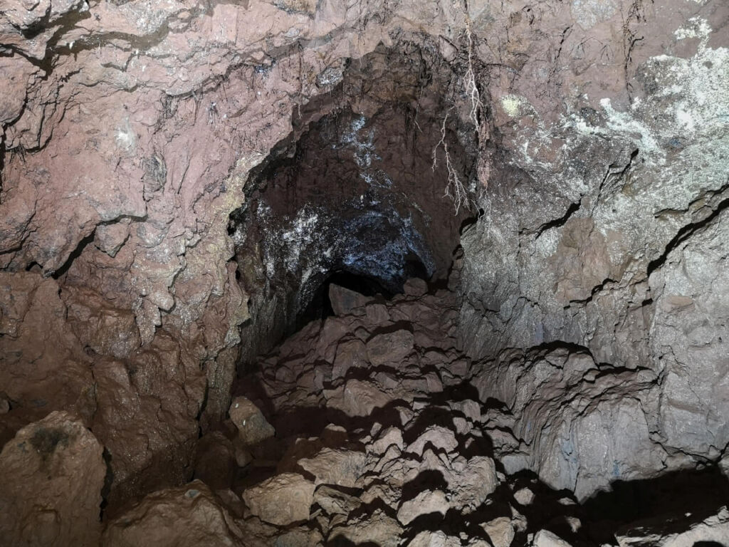 stark verbrochener Stollen mit Wurzelwerk