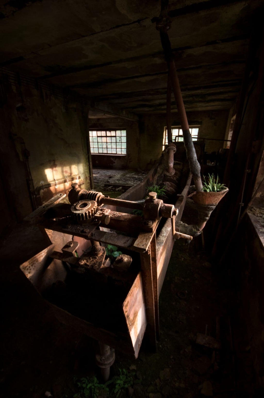 Alte Maschinen in der Aufbereitung. Es wachsen bereits Farne in den Maschinen.