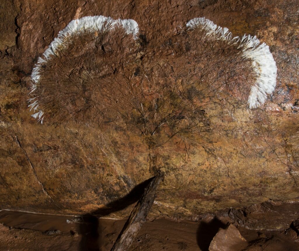Sich ausbreitender Schimmelpilz am Stoß