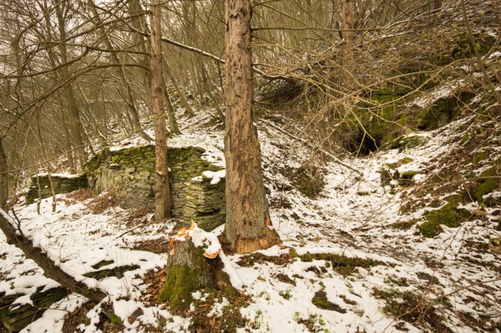 Zeigt die Grundmauer des ehemaligen Grubengebäudes und das Mundloch aus etwas Entfernung.