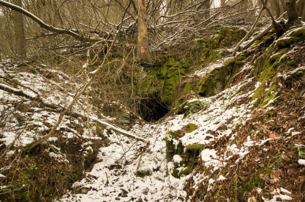Zeigt ein Mundloch mitten im Wald. Die Felskanten sind voller grünen Moos und es liegt etwas Schnee.