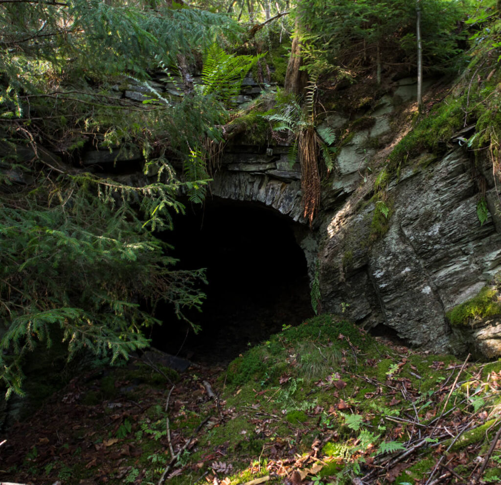 Zugewachsenes Mundloch im Thüringer Wald