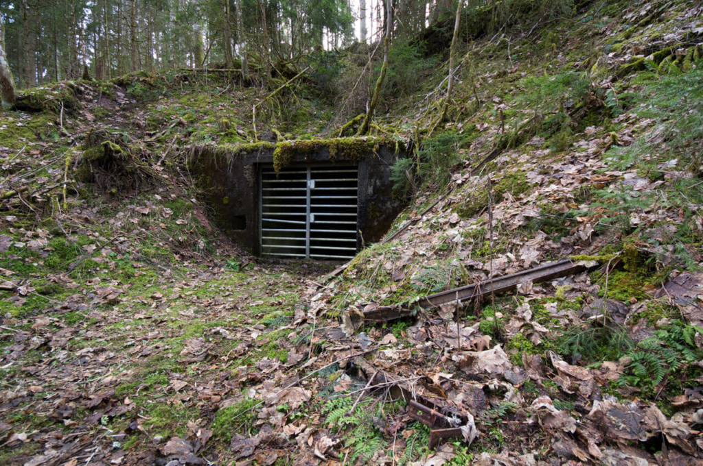 Vergittertes Mundloch im Schwarzwald
