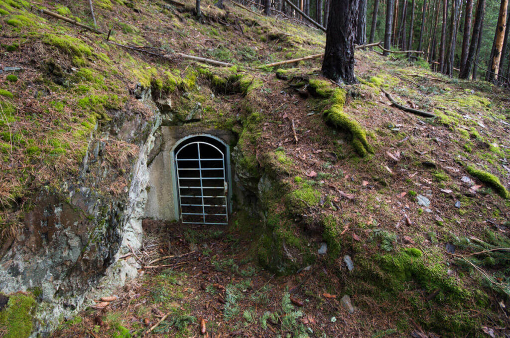 Mundloch einer historischen Grube im Kiefernwald