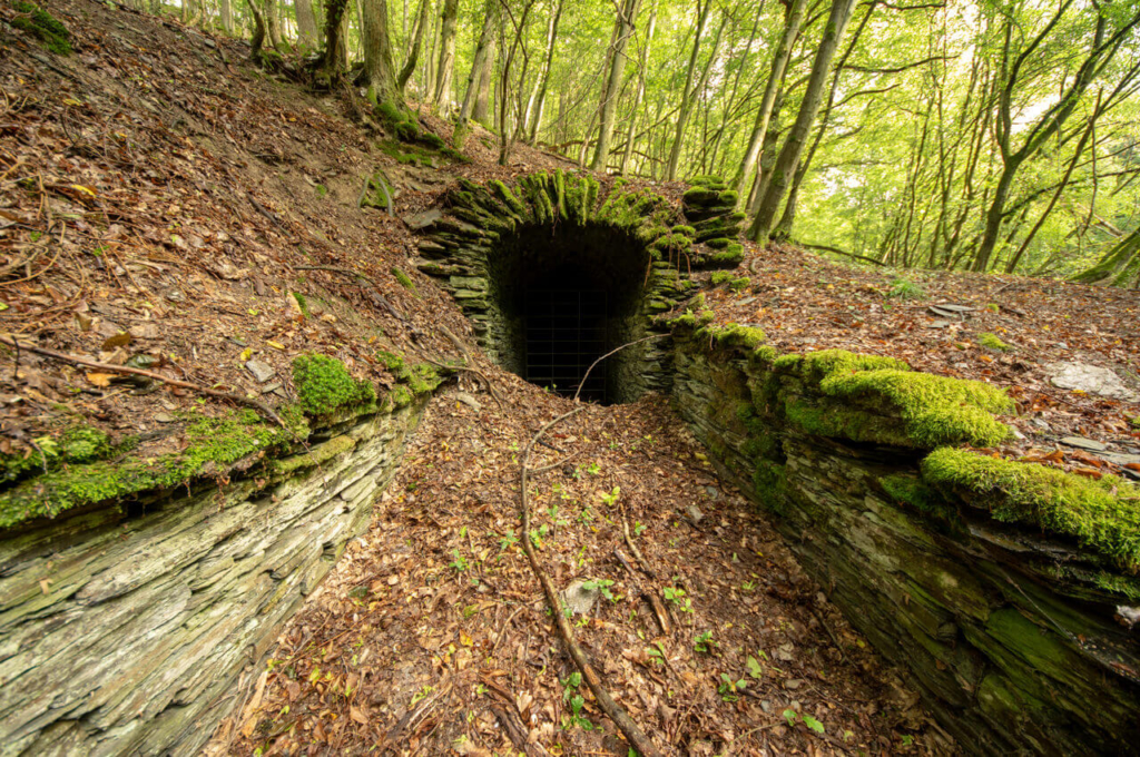 Mundloch einer Schiefergrube mitten im Wald