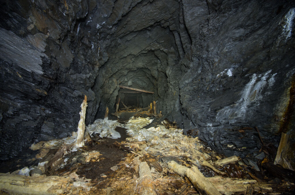 014_schimmeliger-verfall Zeigt eine durch Grubenpilz zerstörte Strecke, alle Hölzer des Ausbaus sind vollkommen vergammelt. Überall ist weißer Schwammpilz zu sehen.