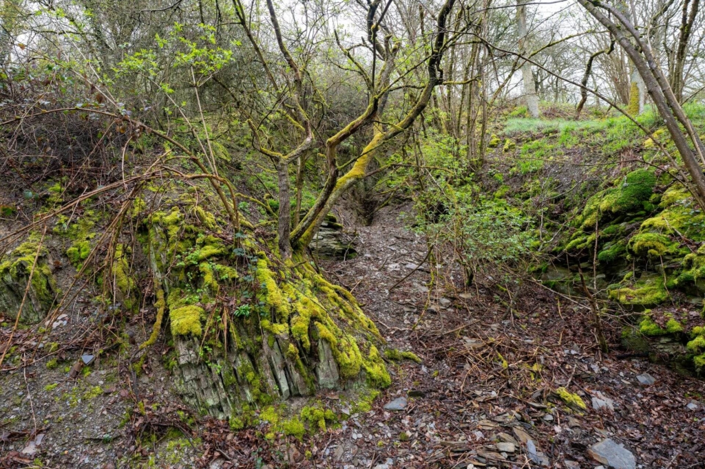 Außenanlage der Dachschiefergrube
