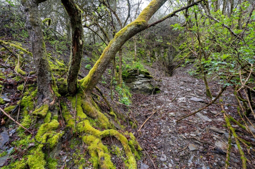 Dachschiefergrube Unser Fritz mit Blick auf das ehemalige Mundloch
