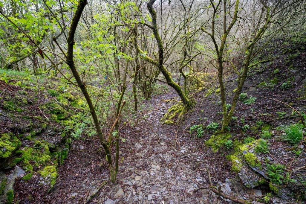 Blick in Richtung Halde der Schiefergrube.