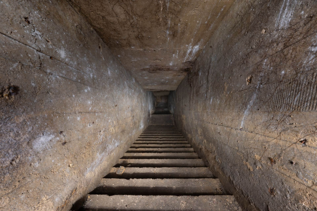 Treppenhaus in die Tiefe, mit Wurzeln an den Wänden.