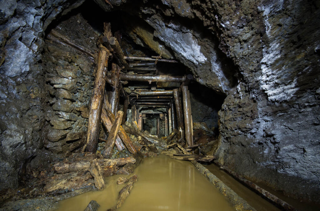 016_verbrochenes_holz