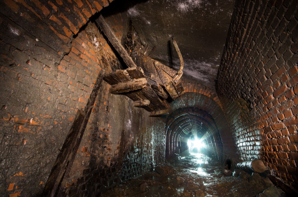 018_rolle_im_gegenlicht