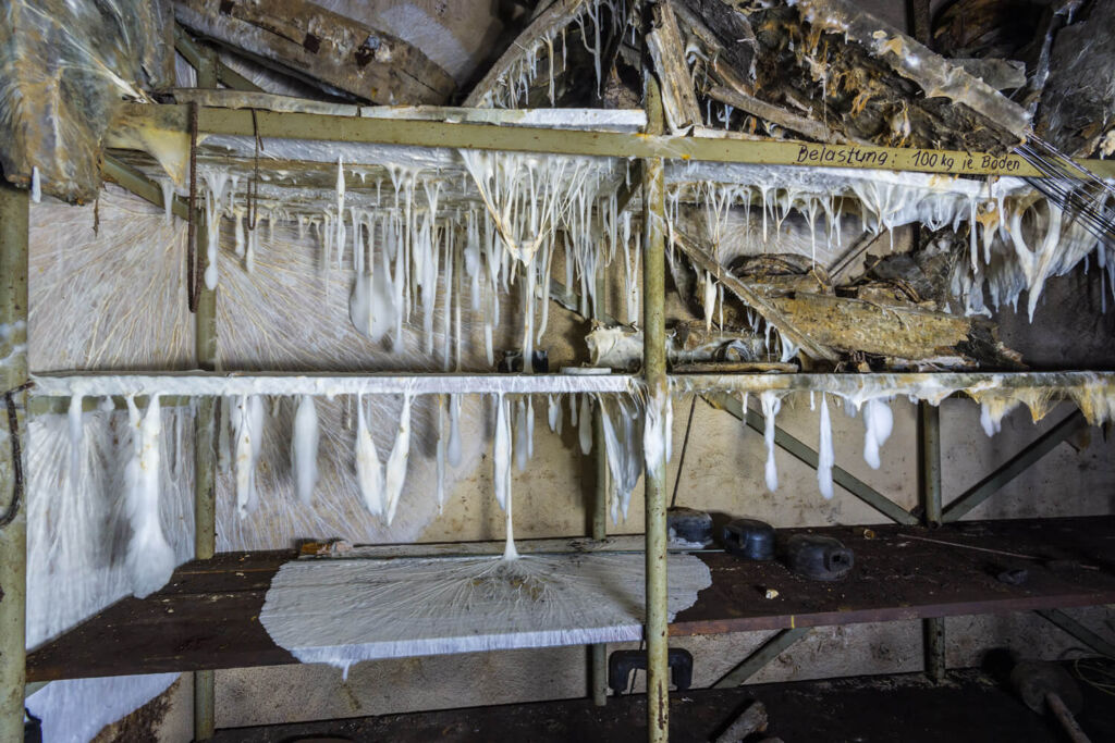 Extremer Schimmelbefall in einem Lagerraum der Grube Glück Auf in Unterloquitz.